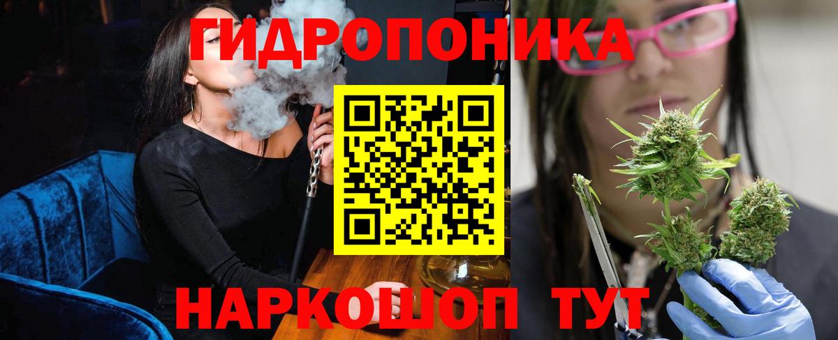 Канабис сатива Среднеуральск